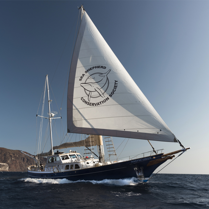 Martin Sheen for site