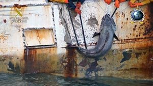 Vidal Armadores heeft boete van ruim €17.8 miljoen opgelegd gekregen door Spaanse autoriteiten voor illegale visserij