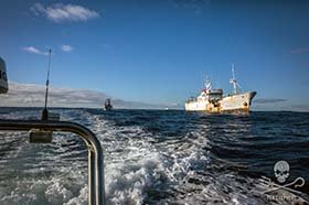 Spaanse autoriteiten arresteren Vidal Armadores