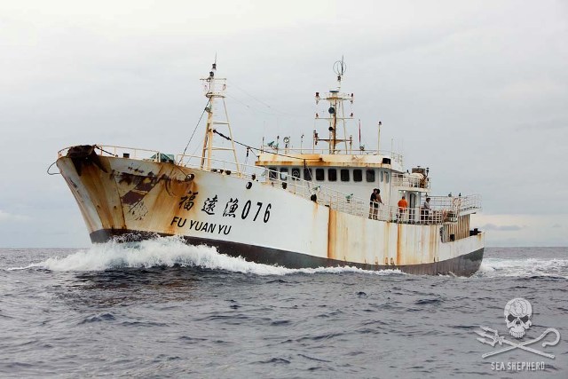 Sea Shepherd onderschept illegale vissersvloot in de Indische Oceaan