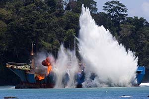 Overwinning op illegale visserij in Antarctica