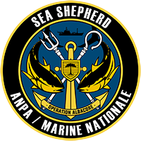 Sea Shepherd Global geeft verontrustende beelden vrij van verwoestend effect van bijvangst