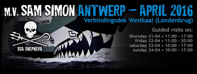MV Sam Simon in Antwerpen (afgelopen)