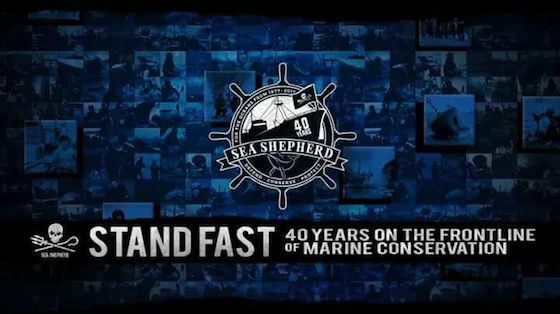 40 years Sea Shepherd