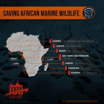 Wereldwijde campagne nieuws -  De acties in Afrika