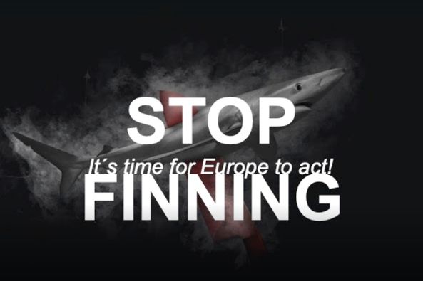 Burgerinitiatief om de Europese handel in haaienvinnen te stoppen