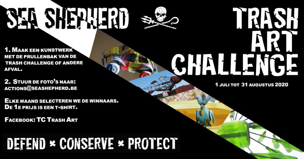 SSCS Trash Art Challenge